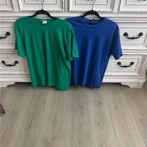 Two pack of Hanes Green and Blue T-Shirts